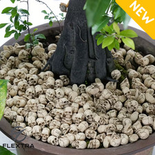 50 Mini Skull Sculptures   Rustic Resin Halloween Decorations 50 PCS Set 