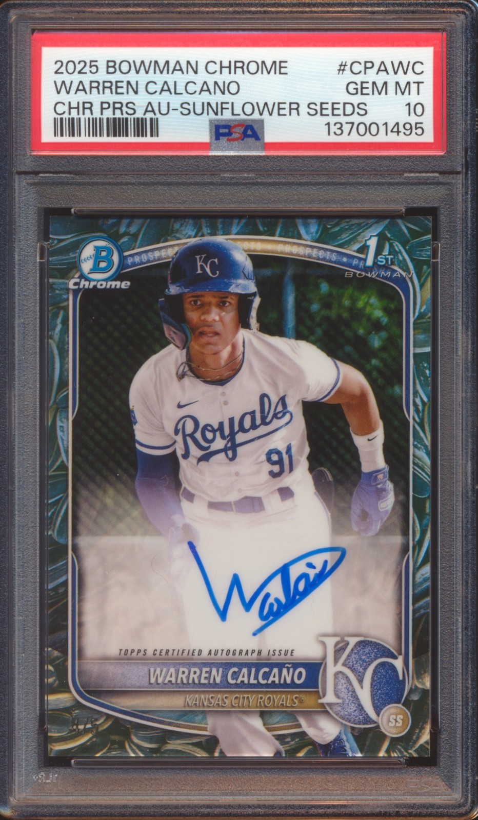 2025 BOWMAN CHROME WARREN CALCANO SNACK PACK SUNFLOWER SEEDS AUTO /5 PSA 10!