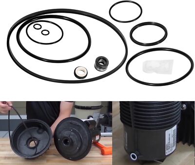 O-Ring Seal Repair Rebuild Kit for Pentair Challenger All Models Pool