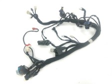 FAISCEAU ELECTRIQUE BRIXTON RAYBURN 2021-2023 / NE 48367