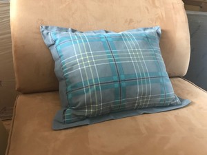teal check cushions