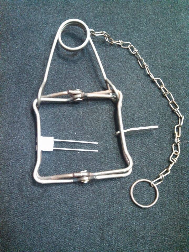 3 DUKE 110 bodygrip TRAPS SQUIRREL MUSKRAT MINK WATER 3 DUKE 110 bodygrip TRAPS SQUIRREL MUSKRAT MINK WATER