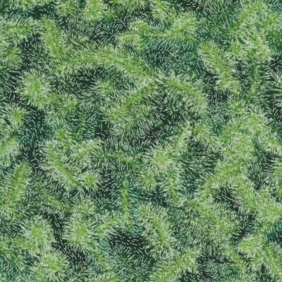 RK ~ 100% Cotton ~ Holiday Flourish ~ SRKM-21602-374~ per 1/2 Yard