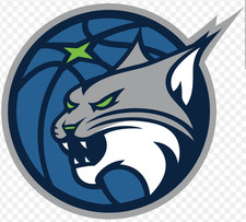 MINNESOTA LYNX WNBA IRON ON PATCH 3" X 2.75" FAST FREE SHIPPING