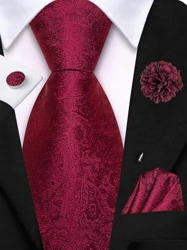 Zipper Ties for Men Paisley Striped Mens Pretied Neckties and Lapel Wine Red - Image 4 of 4