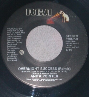 Anita Pointer Overnight Success ( Remix ) Vinyl Single 7inch NEAR MINT RCA