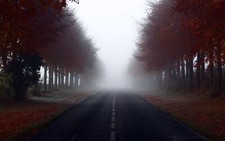 Landscape road trees mist Custom Gaming Mat Desk