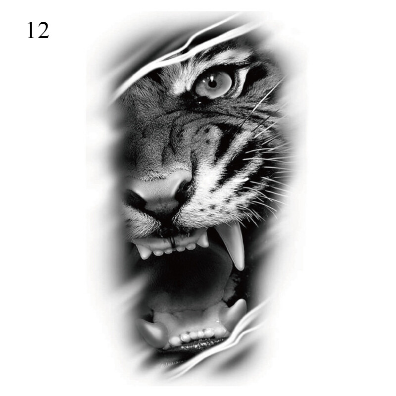 Foto 18 di 78