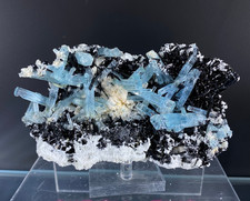 392g Rare Natural aquamarine cluster quartz Crystal Mineral Specimen Namibia