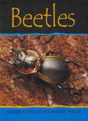 Beetles (Minibeasts), Llewellyn, Claire, Used; Good Book