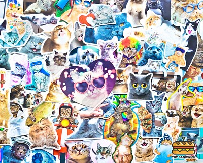 65 pcs ''Cat Lovers'' Sticker Pack Kitten Meow Play Cat Cave Pussycat Meme Decals