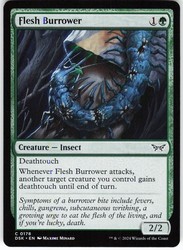Flesh Burrower #178 Duskmourn: House of Horror Common MTG