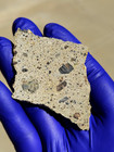 NWA 15339 Diogenite Polymict Breccia Meteorite 20.035g Part Slice COA — photo 4