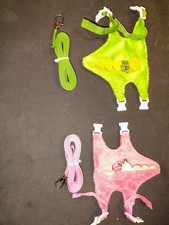 ferret harness and leash 2 . Adjustable, with bells, looks like dinosaurs.