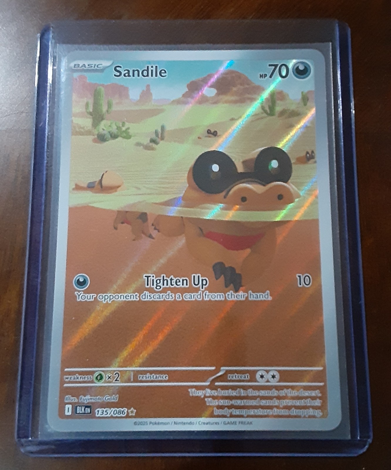 Sandile 135/86 Illustration Rare Black Bolt Pokemon TCG MINT NEW