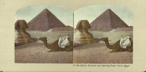 28. The Sphinx Pyramid and Kneeling Camel, Cairo, Egypt. Stereo postcard