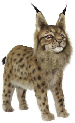 HANSA BH8070 European Lynx 33cm