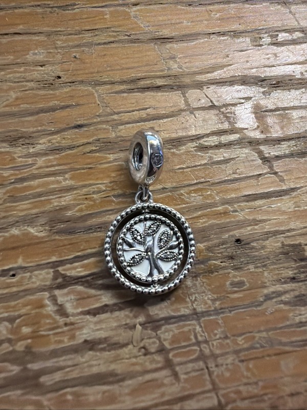 Family is a Circle of Love Spinning Pandora Charm .925 Silver Nice Condition
