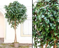 Kunstlaubbaum Eiche Xl 300Cm Mit 2870 Textilfaser BläTter Und NaturstäMmen