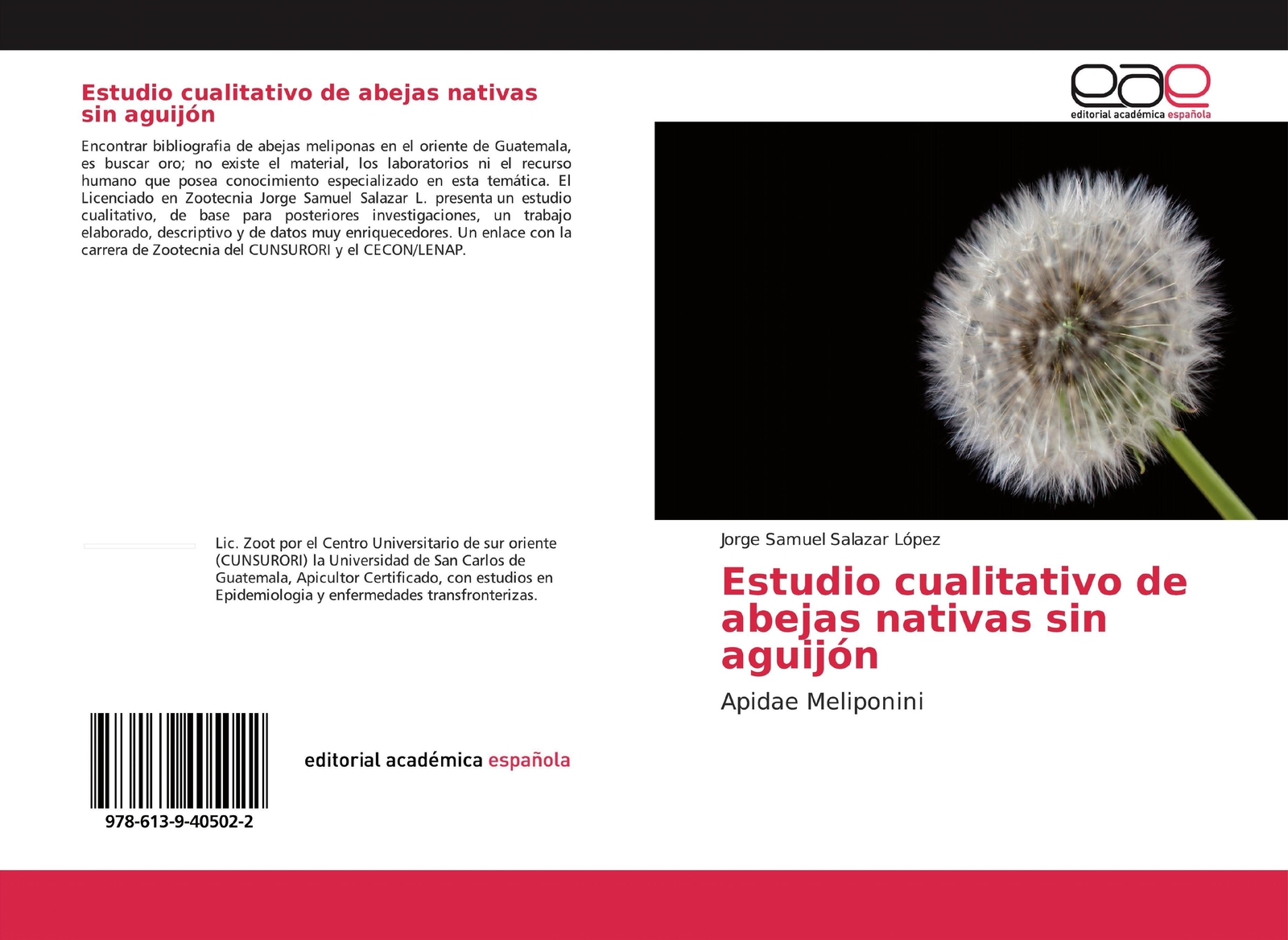 Thumbnail - Estudio Cualitativo De Abejas Nativas Sin Aguijón | Jorge Samuel