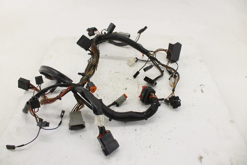 Harley-Davidson Touring Electra Road Glide Inter Glide 2002 02 interconectada Foto 2 de 4