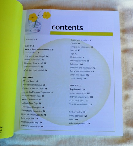 Detox Cleanse and Recharge Your Mind Body & Soul by Dr Christina Scott-Moncrieff - Picture 5 of 12