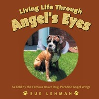 Sue Lehman | Living Life Through Angel's Eyes | Taschenbuch | Englisch (2019)