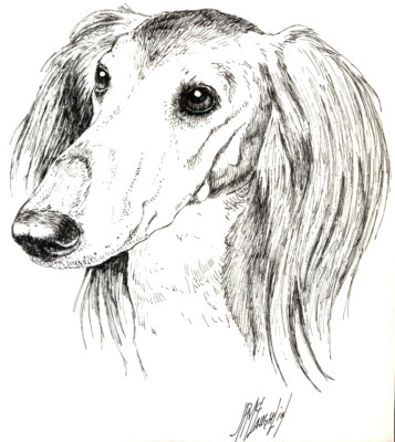 Laughlin 70s Pen Ink Pet Drawing Art MCM Retro 12x9  Dog Saluki Middle Eastern