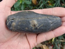 4.111 inch MEG SNACK Georgia megalodon shark tooth teeth fossil Jaws MONSTER OB