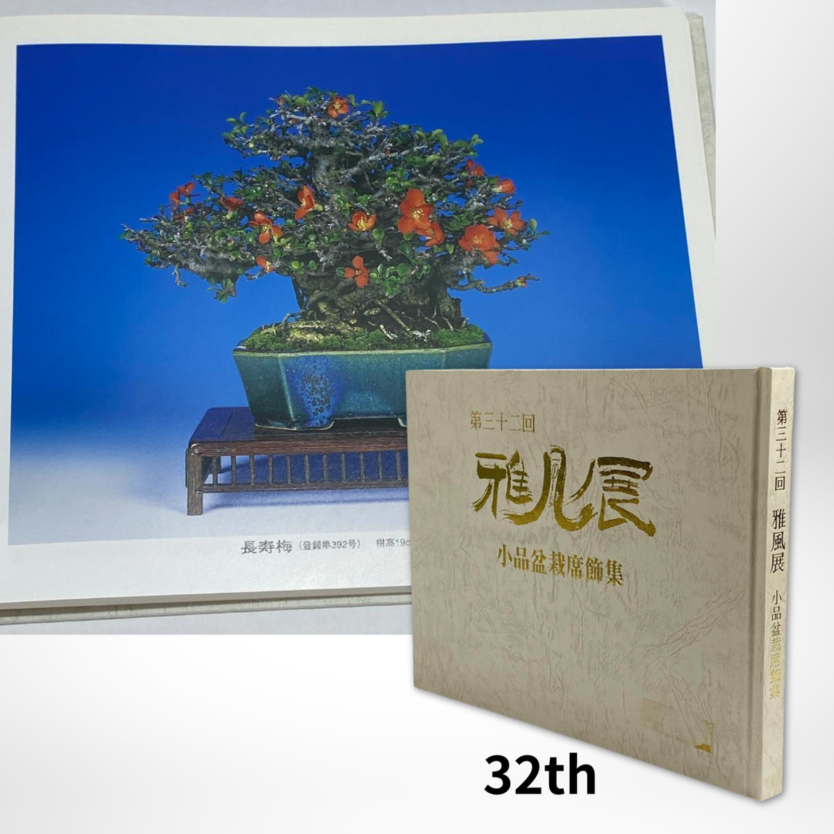Gafu Ten Exhibition Shohin Bonsai Sekikazari Collection 32th Japan