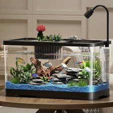 Small Fish Tank, 5.5 gal Tall Aquarium Starter Kit with LED Light Filter