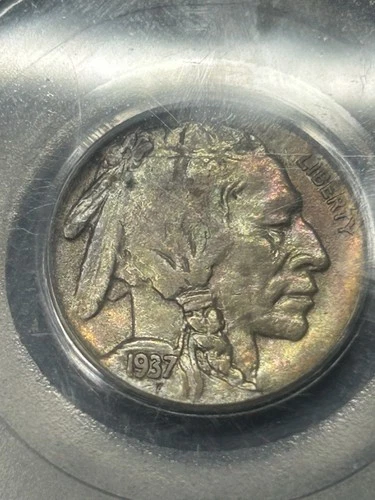 1937 D Buffalo Nickel PCGS AU 58 Colorfully Toned Toning Everyman Coin