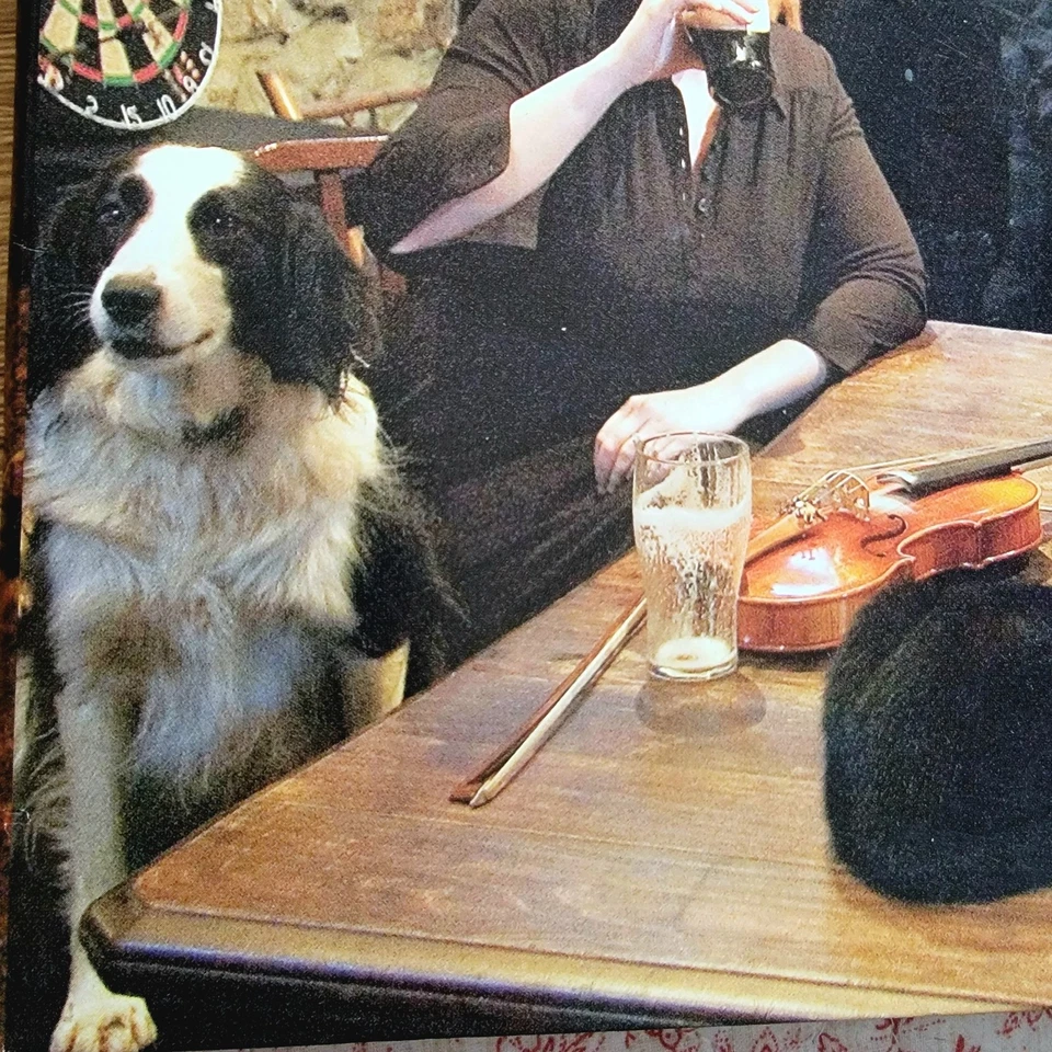 Flogging Molly Vinyl Record 'Float' (2007) Celtic Irish Punk, Side One Dummy - Image 4 of 4