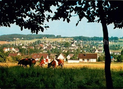 Bierenbach Valley view from the edge of the forest from cattle pasture cows