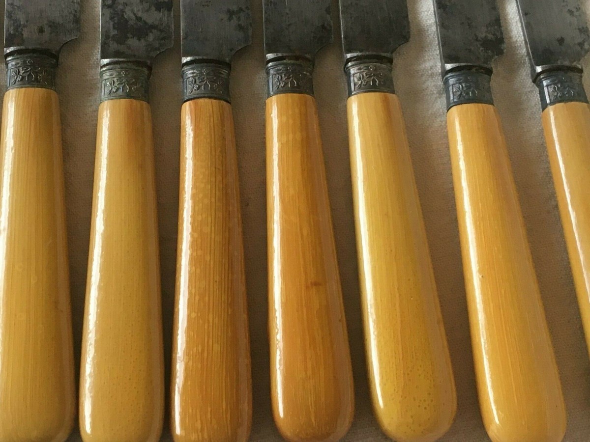 Couteau Le PRADEL manche corne blonde 10.5cm LOCAU lame carbone