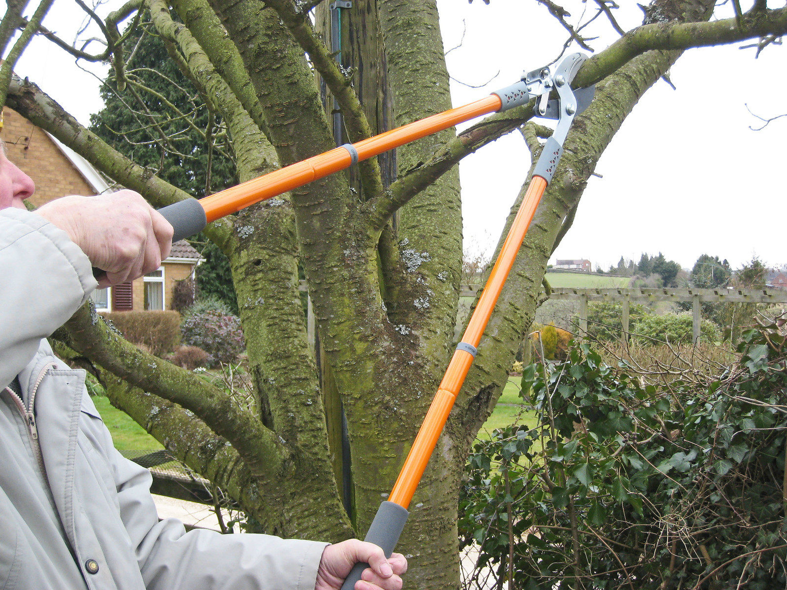 TELESCOPIC RATCHET PRUNER LOPPER PRUNERS BRANCH CUTTERS 5034537005011