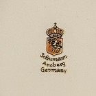 Small Souvenir Plate Of Sarnia, Ontario Gold Rose Schumann Arzberg Germany — photo 3