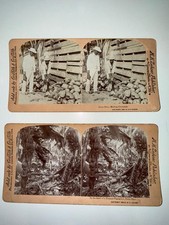 2 antyczne widoki stereo 1899 Porto Rico - M.H. Zahner - plantacja kokosowa i bananowa