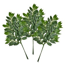12Pcs Italian Ruscus Greenery Stems Artificial Silk Greenery Leaves Garland V...
