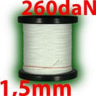 Bild 6 von 10