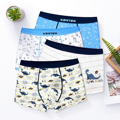 Boy s Cotton Boxer Underwear