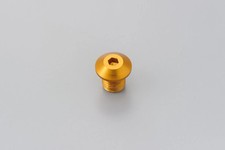0641-0326 Blindstopfen Abdeckschraube für Spiegelgewinde M10x1,25 rechts gold