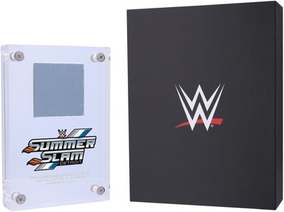 2023 WWE SummerSlam Acrylic Canvas Display