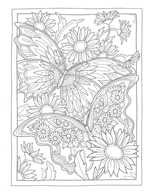 Dover Publications Creative Haven: Butterflies Flights
