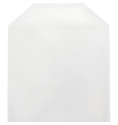 CPP Clear Plastic Sleeve with Flap  (No Stitches) Lot