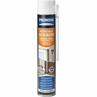 1K-PUR Montageschaum Bauschaum Pistolenschaum Fenster Schaum 750 Ml Beige