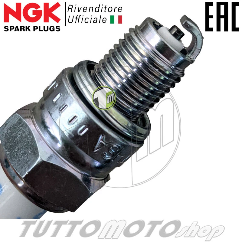 Tagliando KYMCO Agility 200 R16 + / Plus 2014-2023 / Motul 5000 + Filtro Candela - Immagine 2 di 4