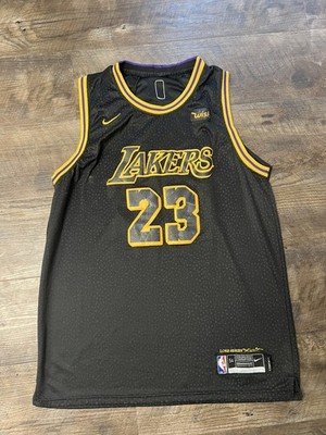 Nike LeBron James Lakers #23 Black Mamba Lore Series Swingman