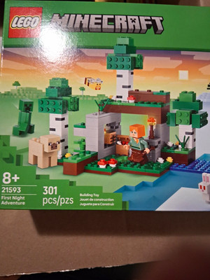 LEGO Minecraft First Night Adventure 21593 301pcs Age 8+ Complete Set Box