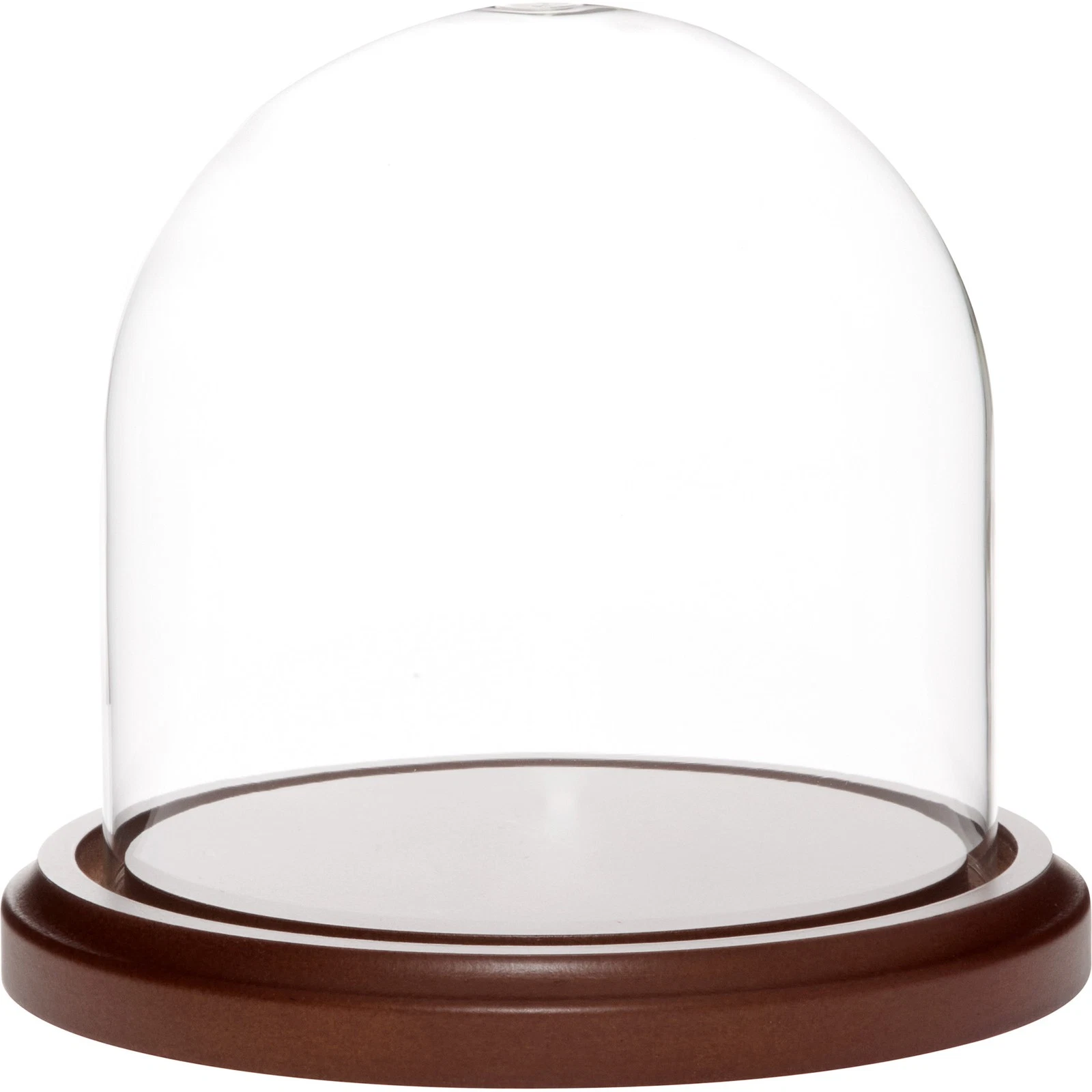 Plymor 5.5 inch x 5.5 inch Glass Display Dome Cloche (Dark Wood Base)